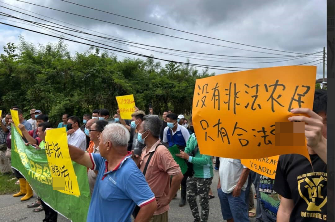 劳勿逾百榴梿农民抗议