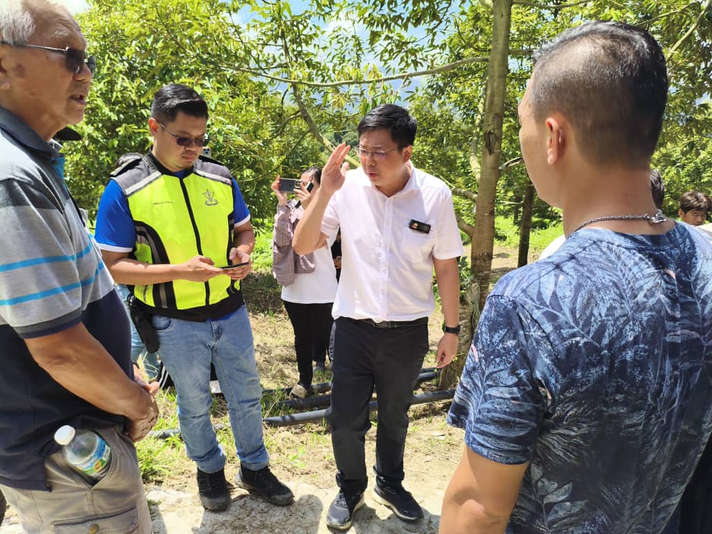 劳勿逾百榴梿农民抗议