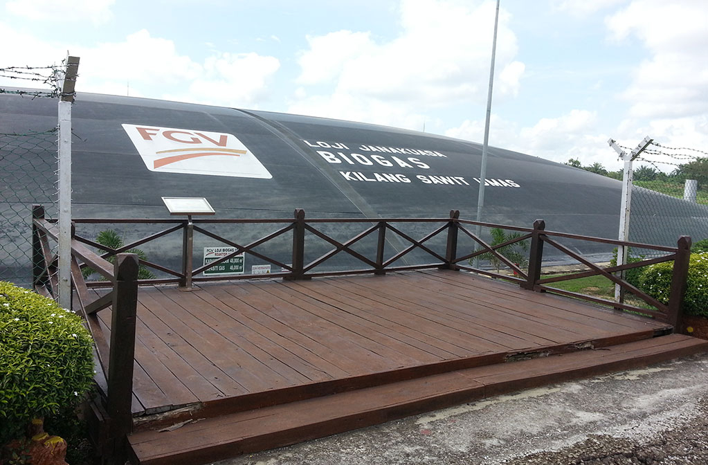 FGV