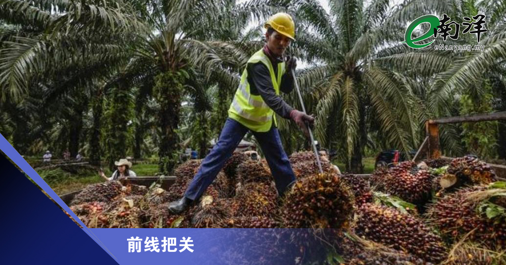 森林在召唤 市场须反应/前线把关