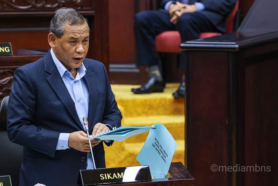 流浪狗问题严重 森大臣动议先在马来人区灭狗
