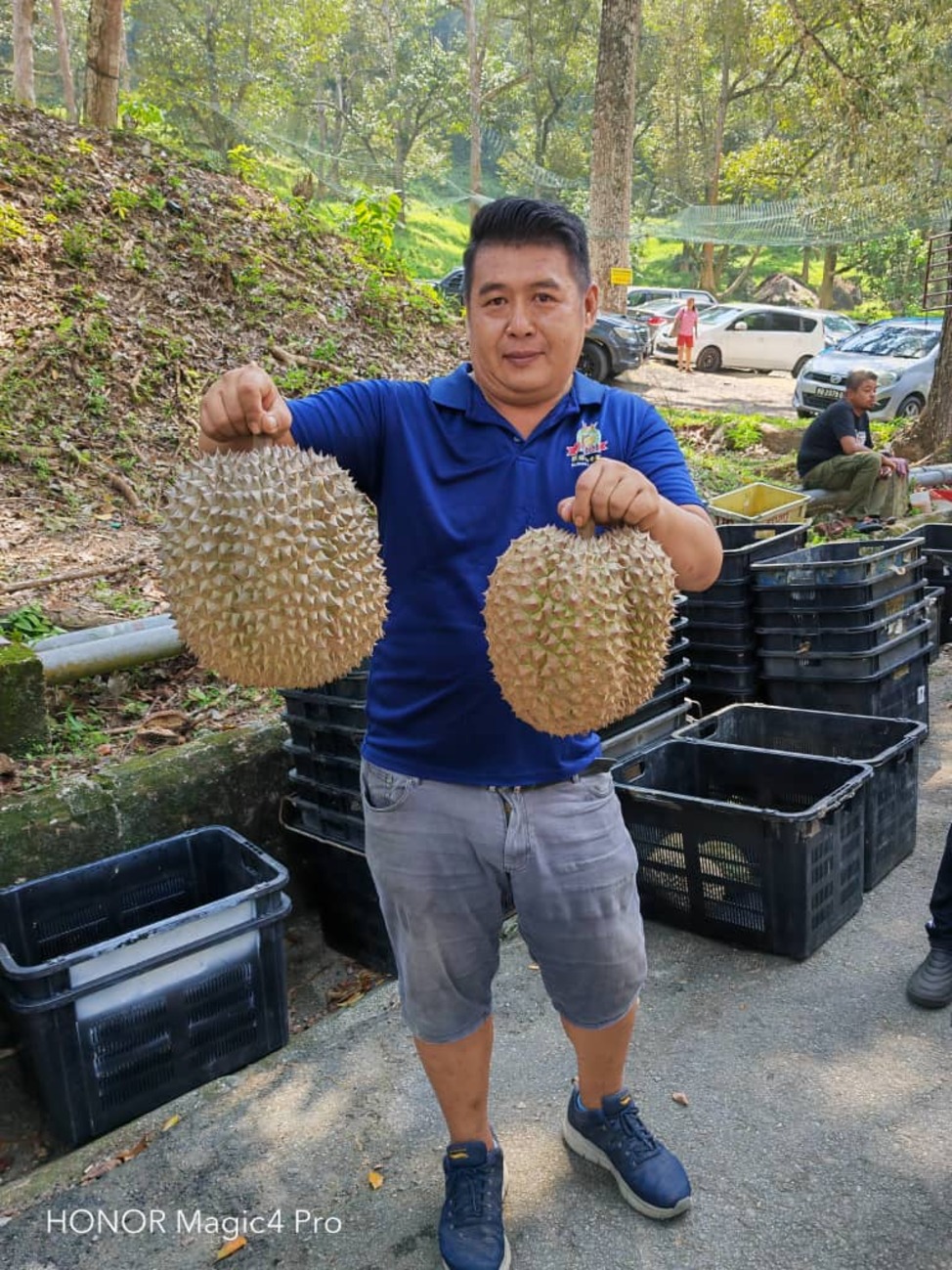 葉原豐