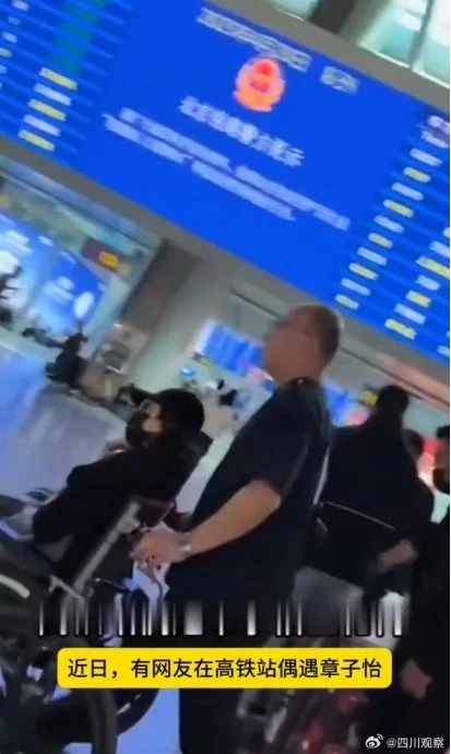 章子怡坐轮椅