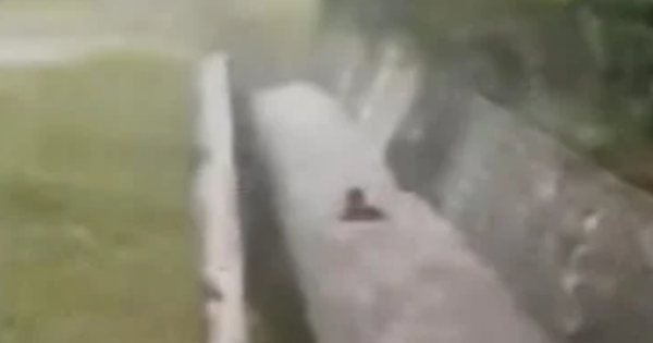 拍男童坠急流视频遭网暴 姐姐澄清:弟弟不会游泳