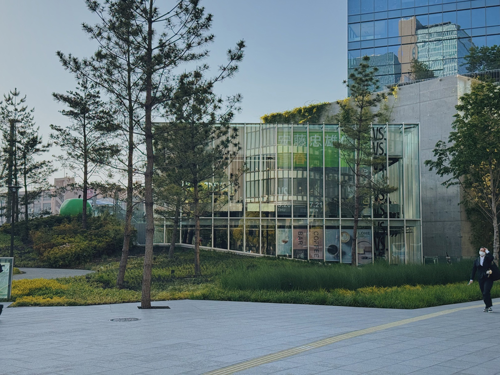 日本 2025世界博览会 安藤忠雄 (作者提供)