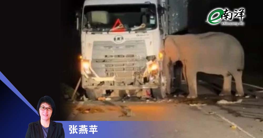 跨物种的母爰/张燕苹