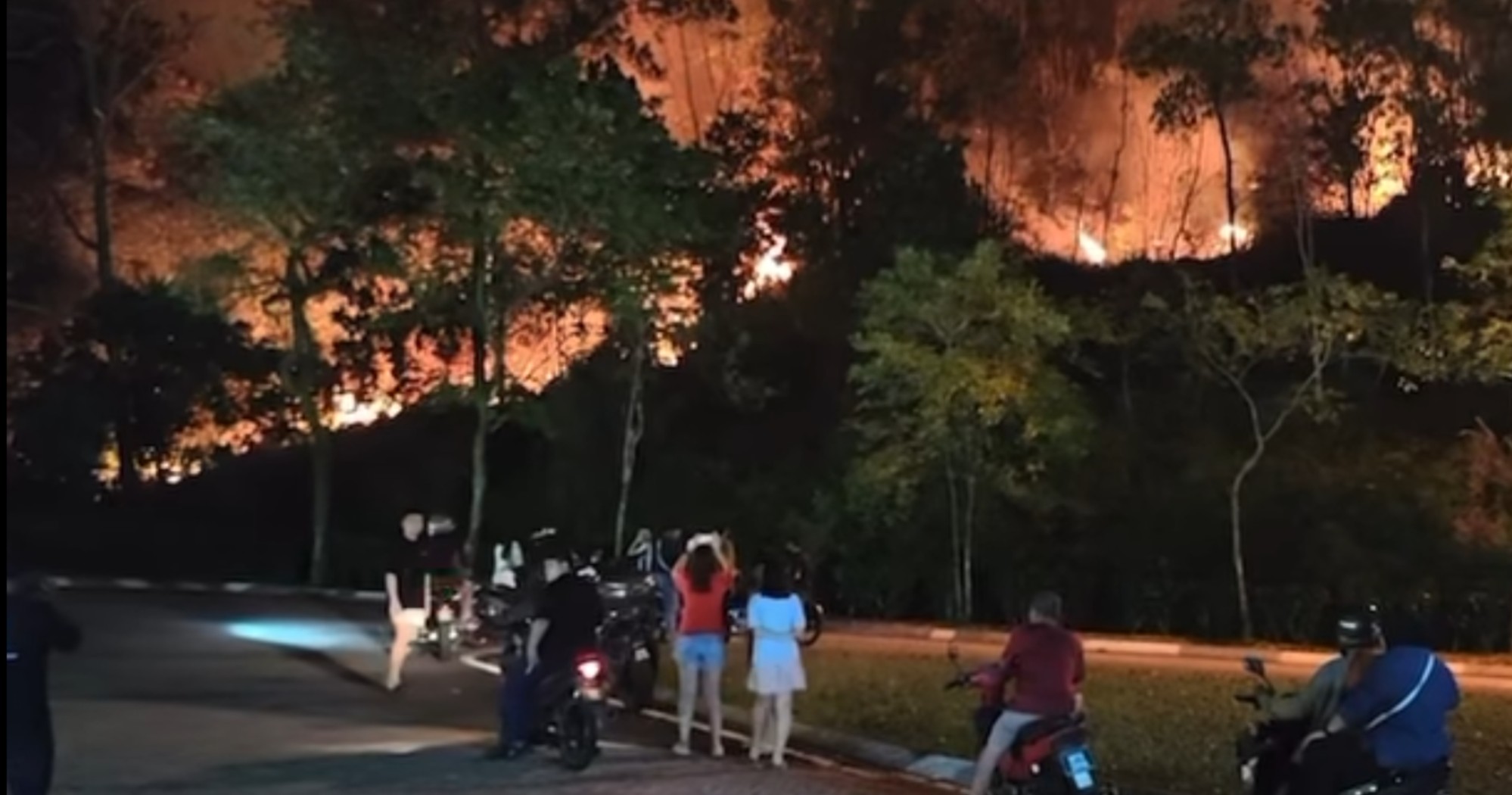 【视频】万挠突发森林大火 消拯局急派10人灌救