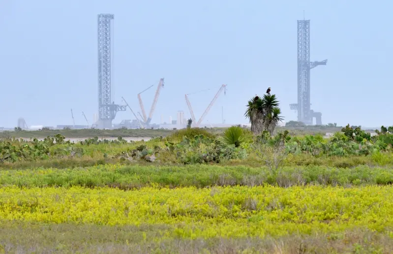 SpaceX德州“星际基地”升格为城市 马斯克梦想成真