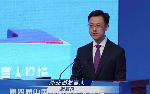 中国 发言人 郭嘉昆