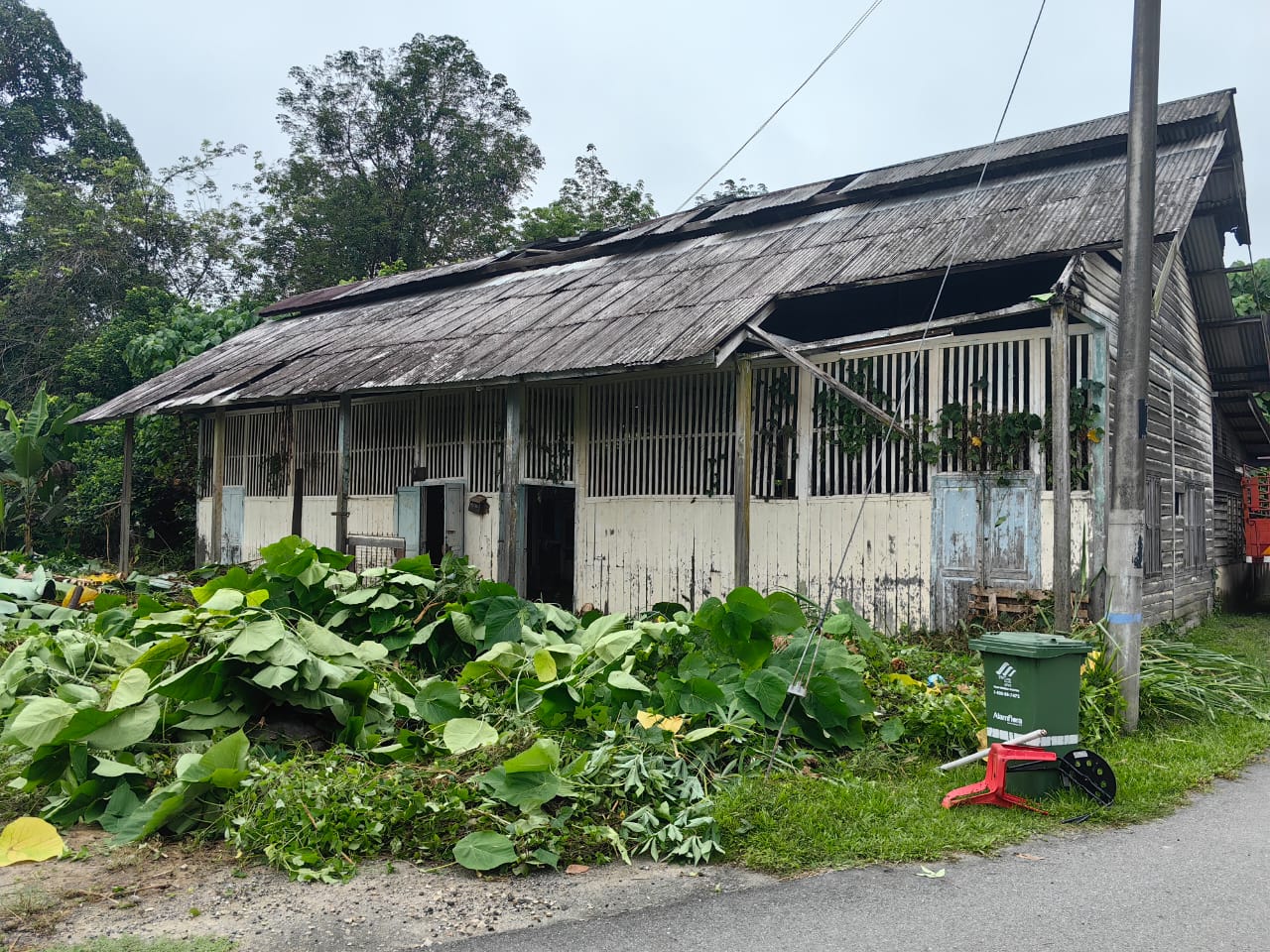 新村,健身,市議會,議員,村委會,