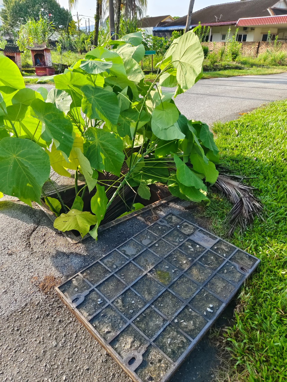 太平电话电缆再遭窃 盖板被撬留深洞 恐危害大众