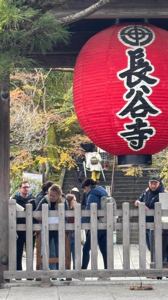日本“即买即退”步入历史/李桑