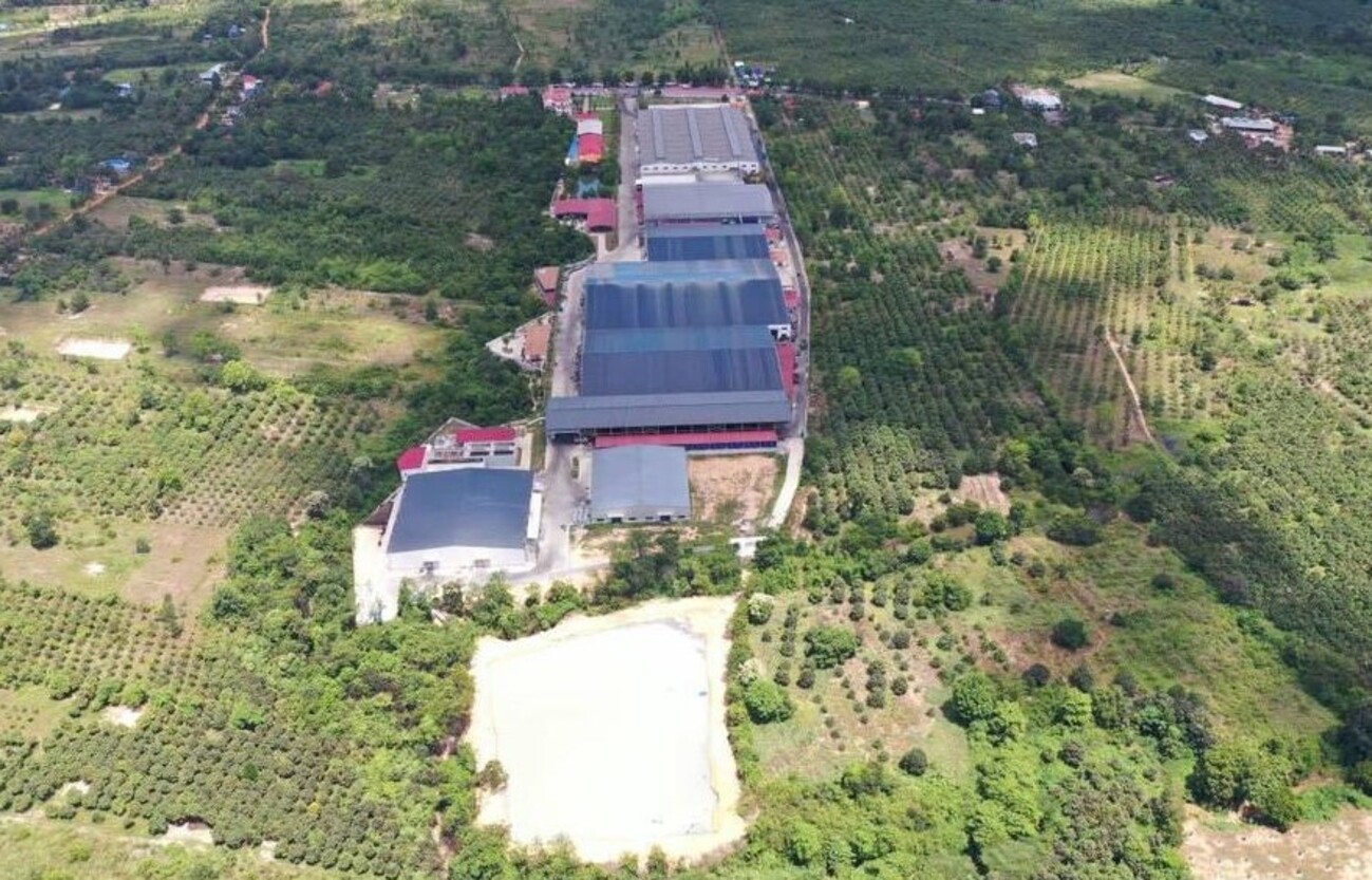 中宝（柬埔寨）食品科技公司 芒果干加工厂
