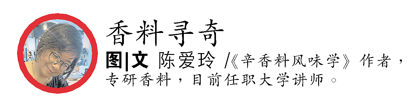 香料寻奇 陈爱玲