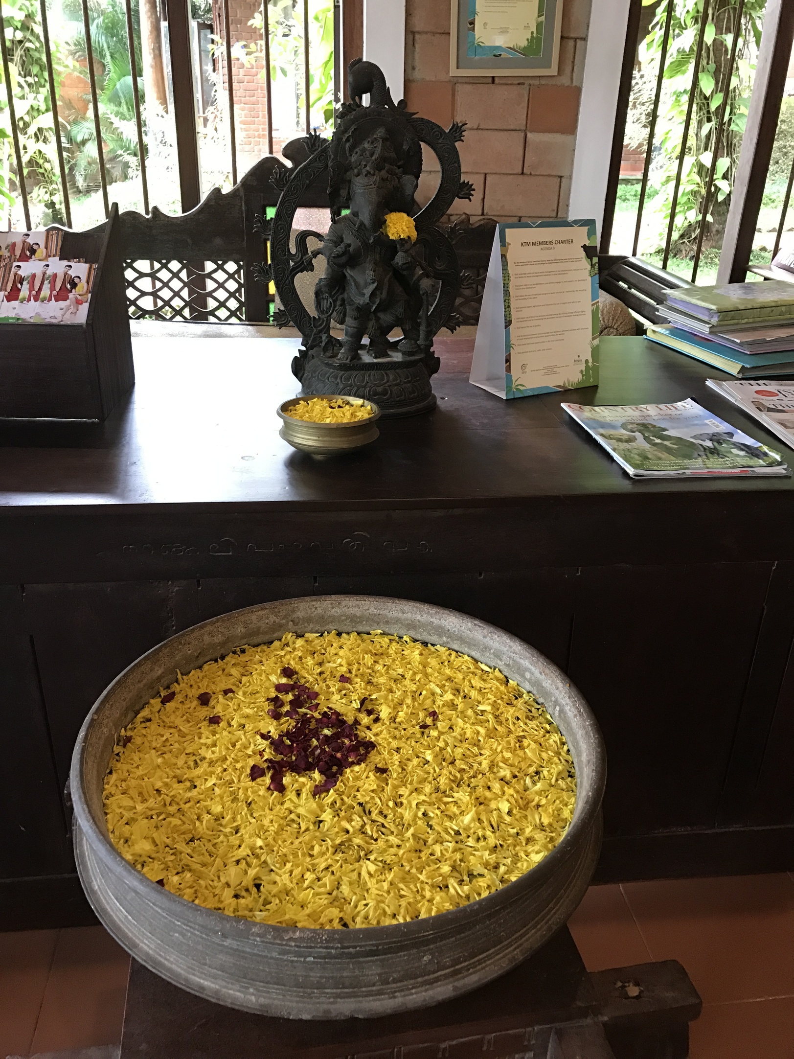 金盏花