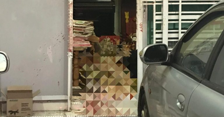 【少年弑母兄】甲董联会提4建议 正视师生心理健康