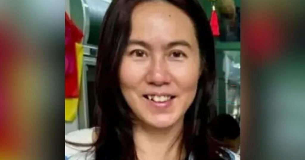 【拿汀斯里疑遭掳绑案】律师促公布绑架电眼画面
