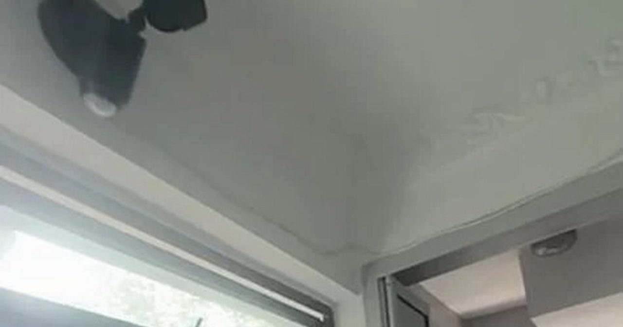 設20規矩 廁外裝監控 租屋如坐牢一個月即搬