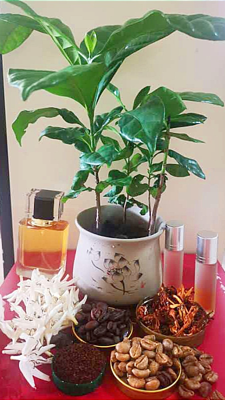 南视界,咖啡,精品咖啡, 新咖啡山,怡保, coffee,