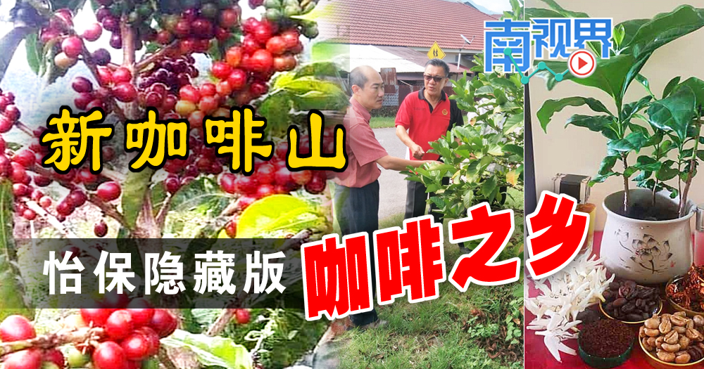 【南視界】新咖啡山: 怡保隱藏版的咖啡之鄉