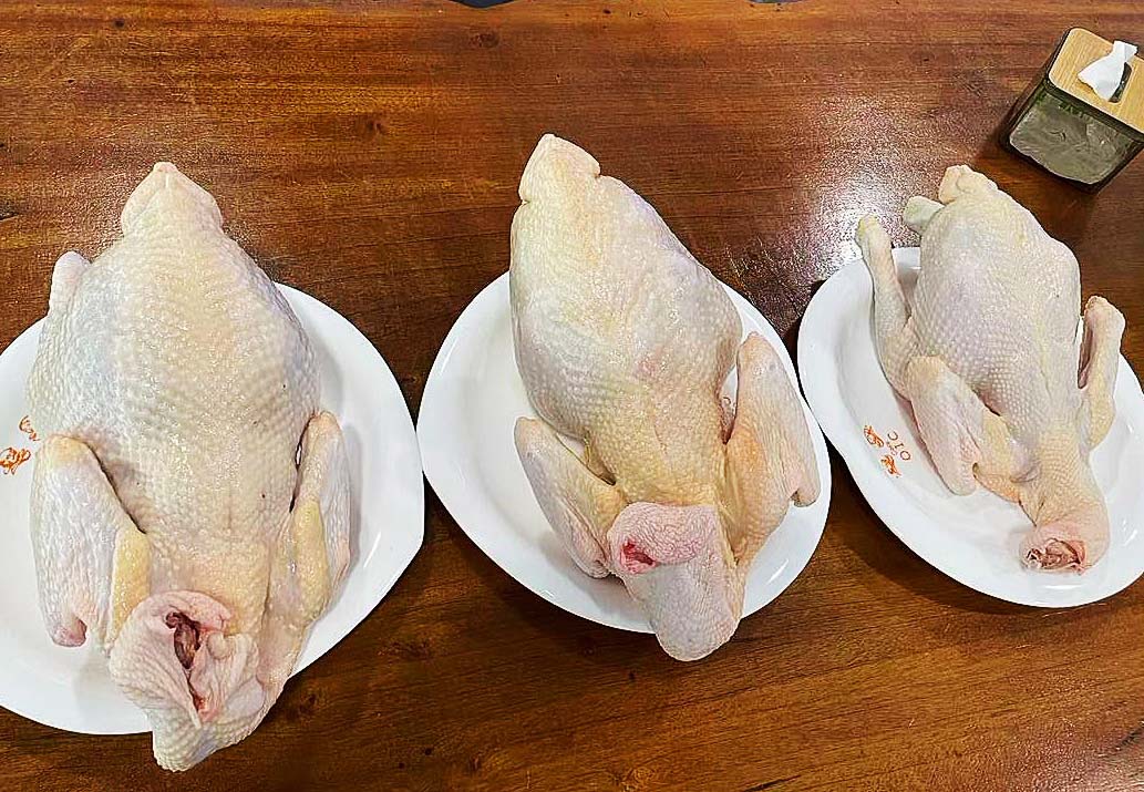 恐龙鸡、阉鸡和走地鸡