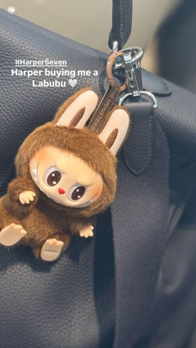 大卫贝格坎姆Labubu(取自贝格坎姆IG)