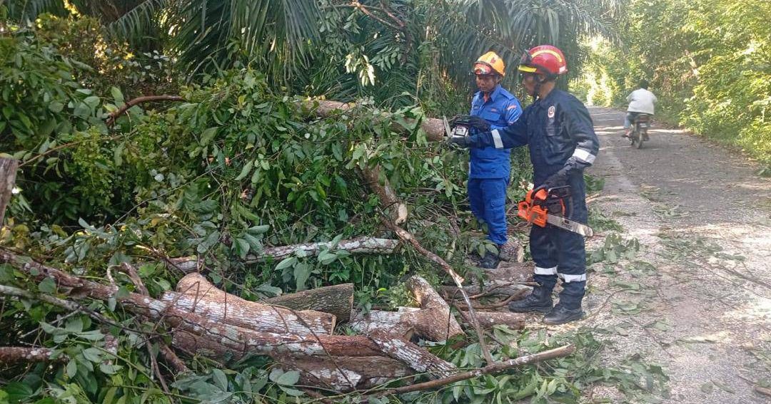 暴风雨袭吉打 多地树倒阻交通