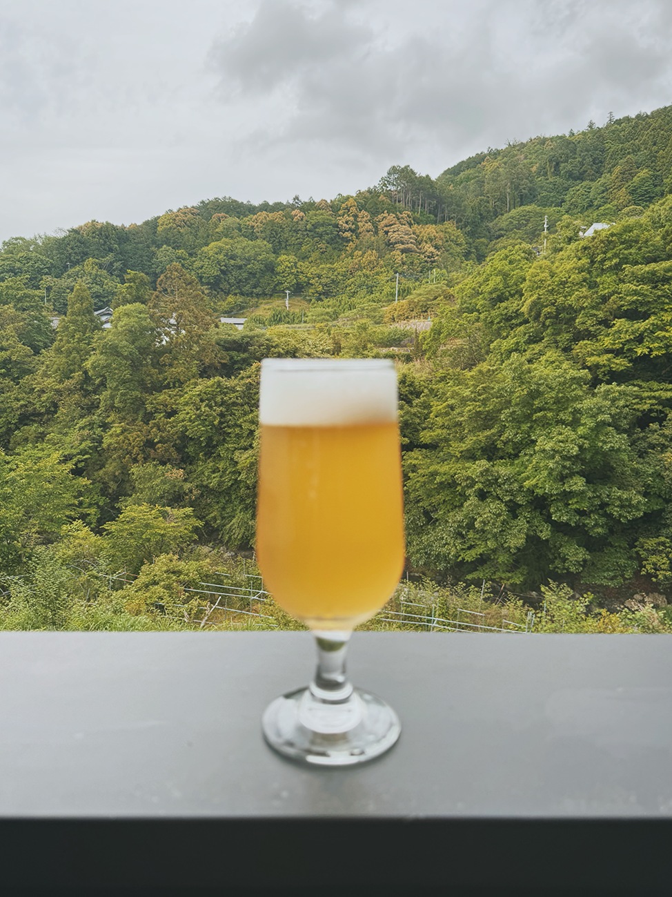 WEEK kamiyama日本神山町