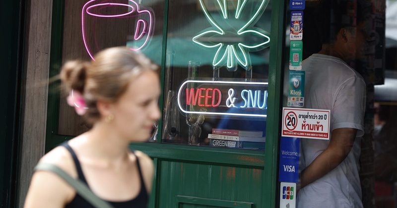 购买须出示医生处方 泰国将大麻限为药用