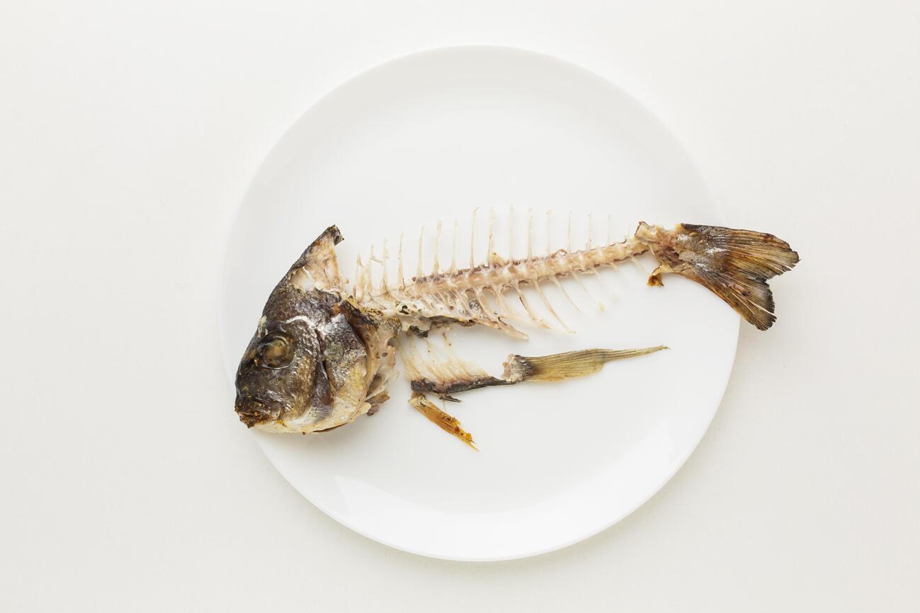 鱼骨