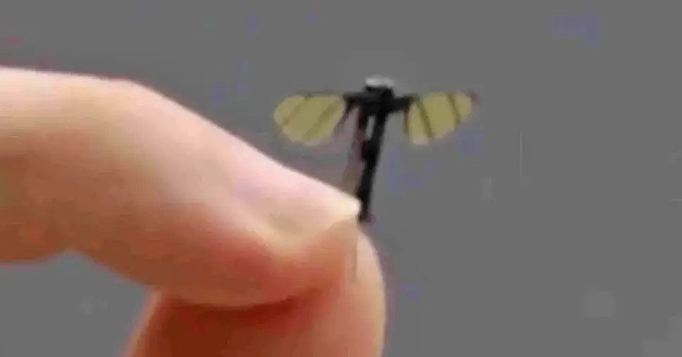 中国军方研制出蚊子大小无人机
