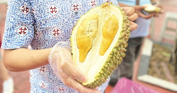 “松鼠王”跃登世界第三好吃榴梿