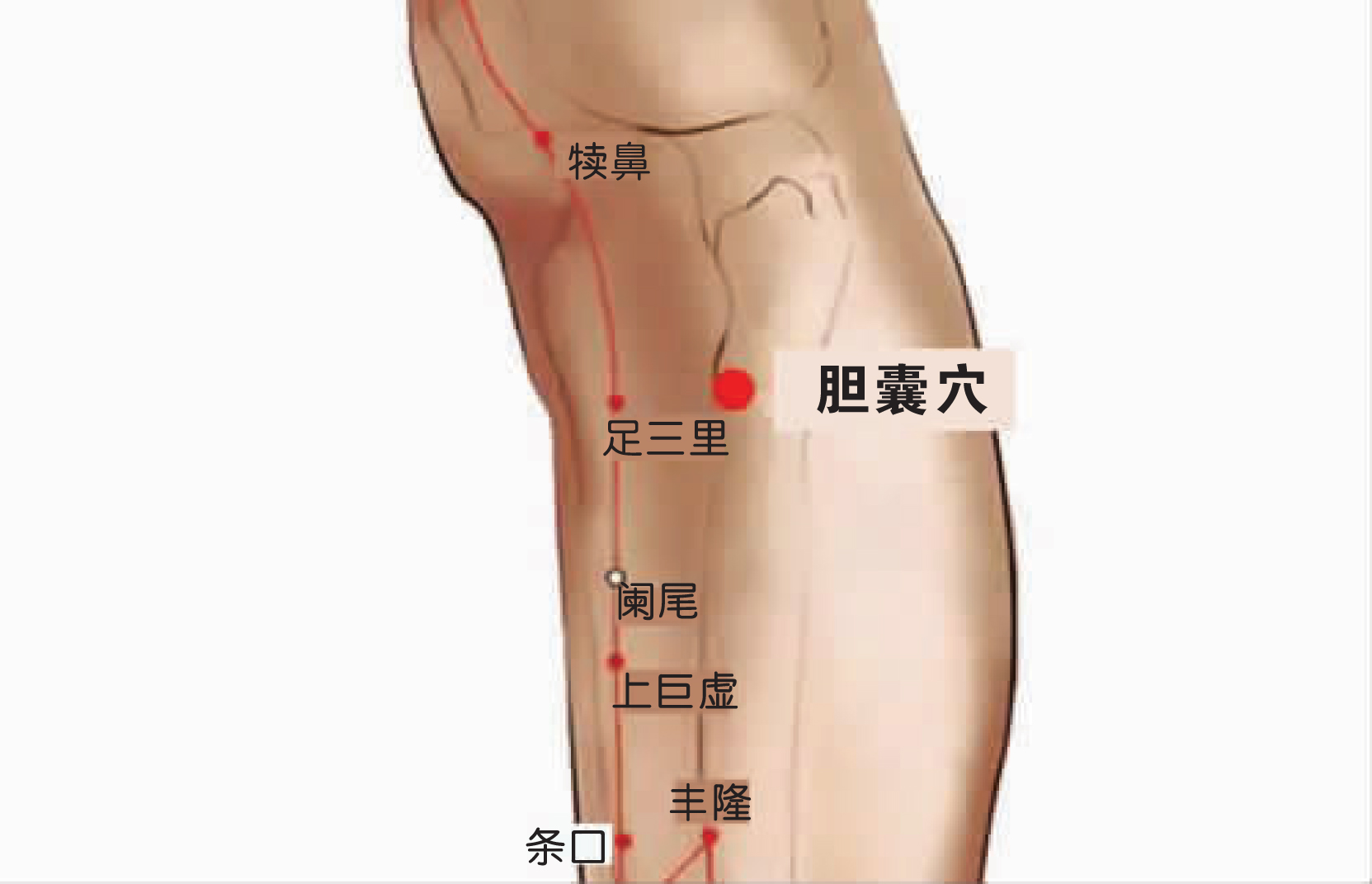 胆囊穴