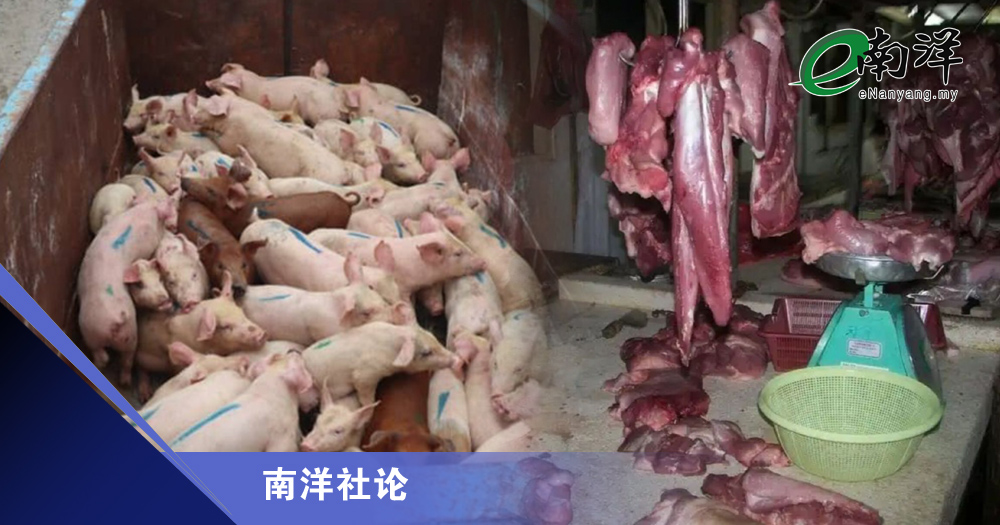 恼人的猪价飙涨问题/南洋社论