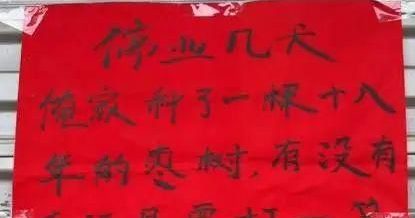 老板陪女儿考试停业 告示文采惊艳网友