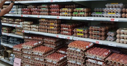 补贴明天取消 业者推“特级蛋”稳价应市