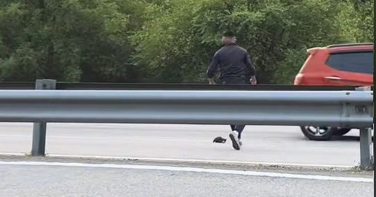【视频】一脚跨分界堤 大马男子救猫暖爆网友