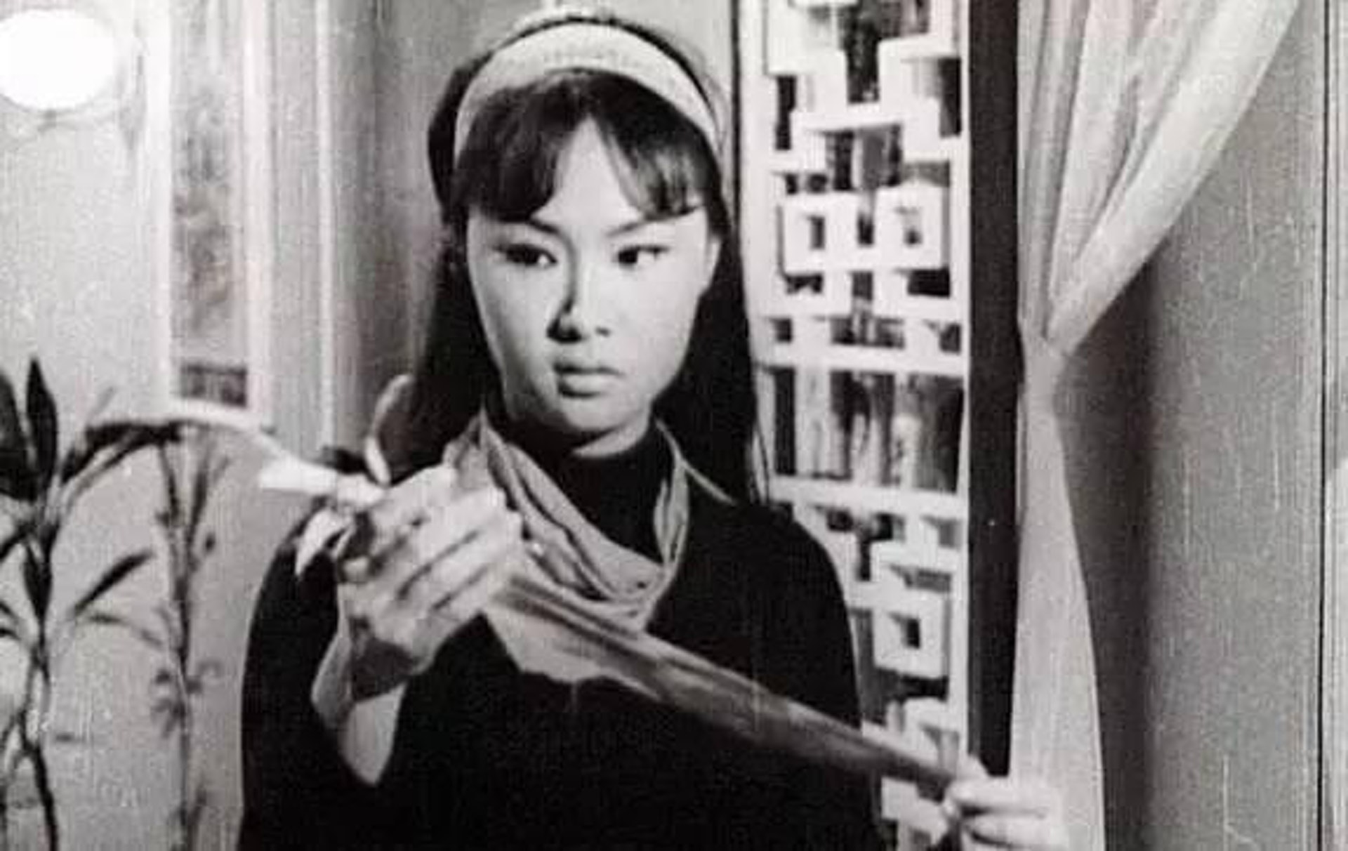 雪妮 女黑侠木兰花