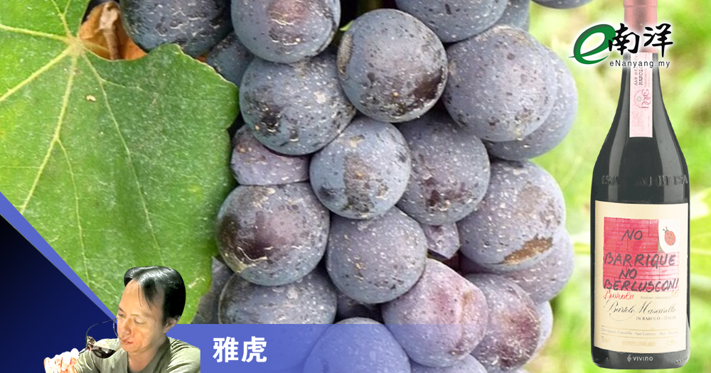 酿造时间越长越好? 巴罗洛“新旧”恩仇录!