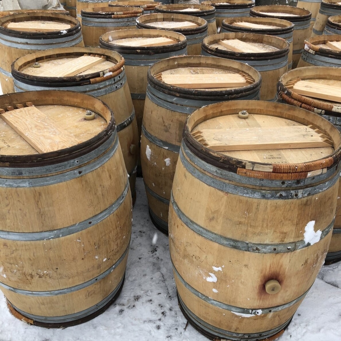 巴罗洛 Barolo