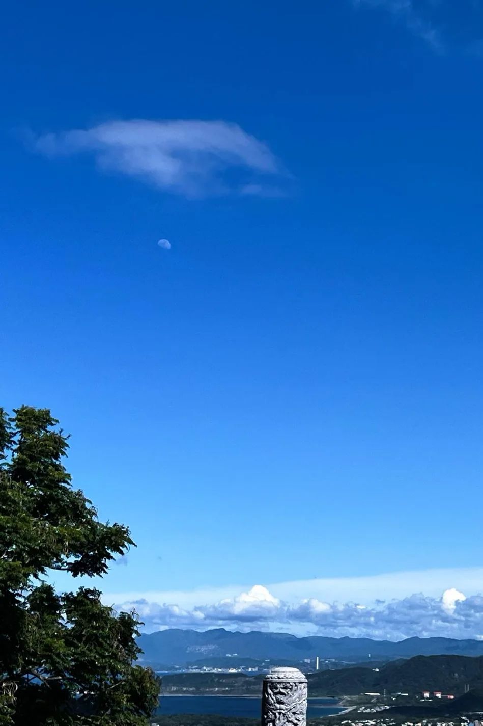 CoCo李玟纪念活动