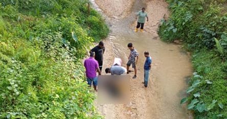 被牛只踹坠河 骑士当场不治