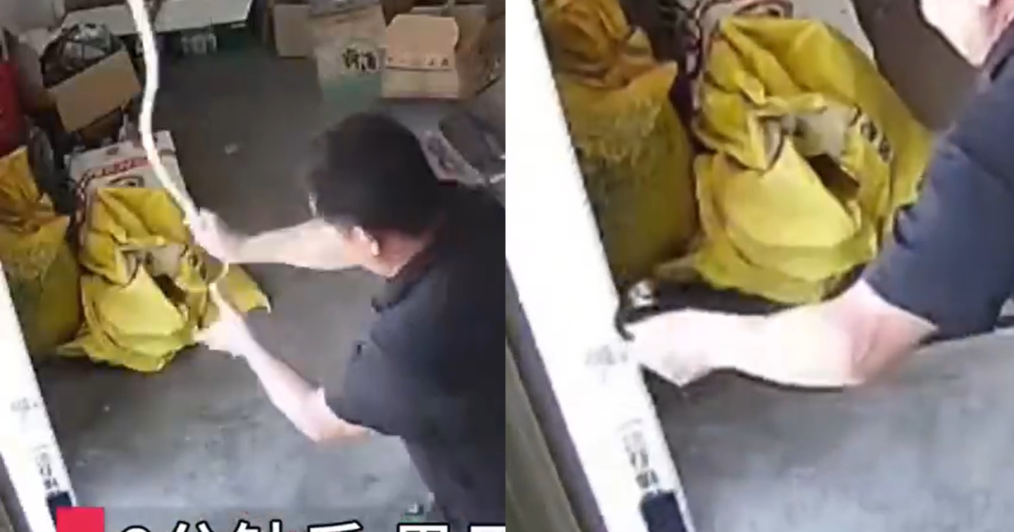男子徒手甩蛇 反遭狠咬