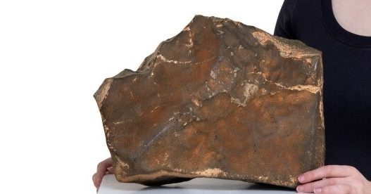 地球最大块火星陨石将拍卖 估价高达1700万