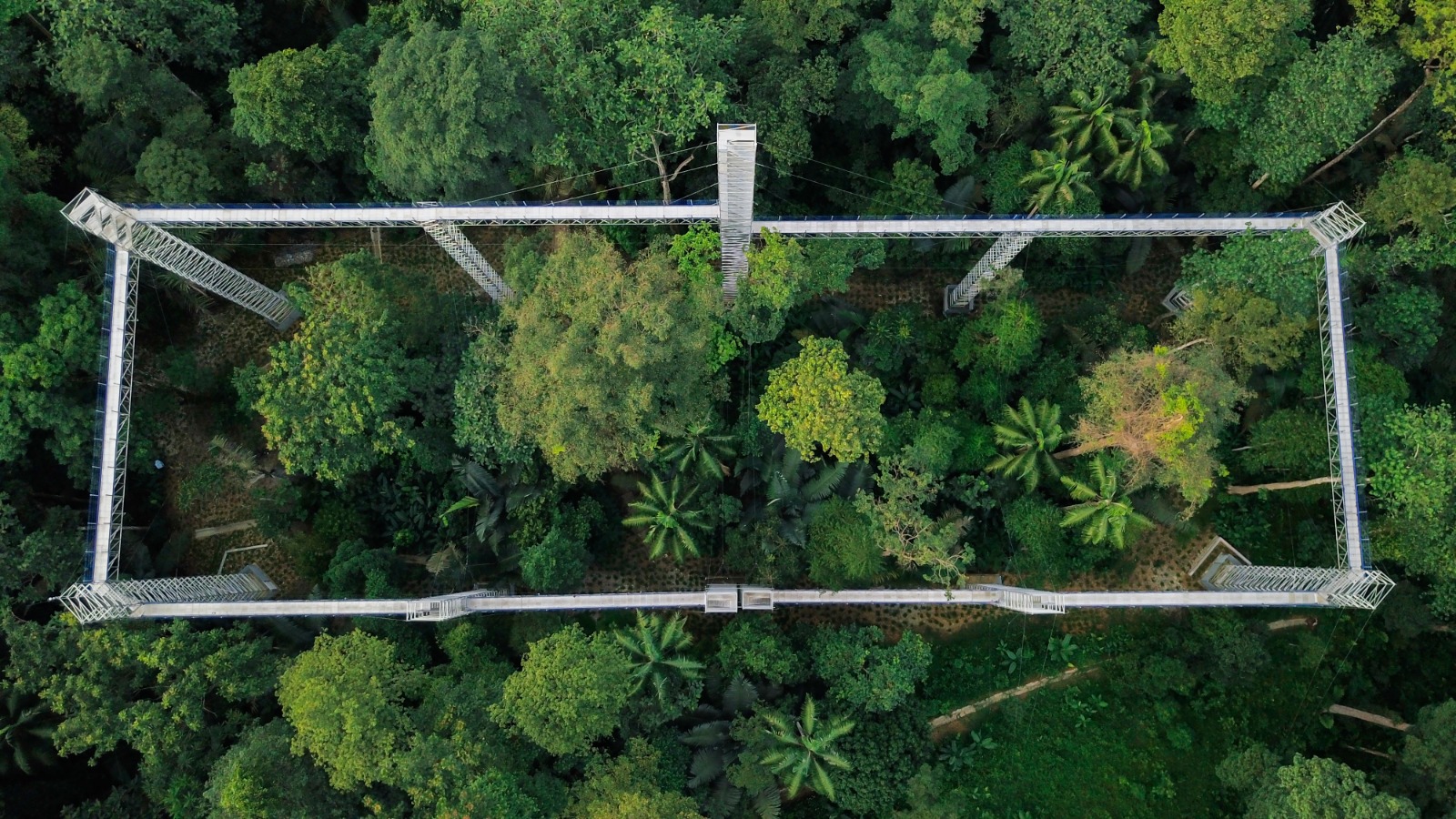 雪兰莪森林公园