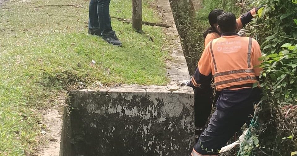 严待元首谕令 隆市厅清理葛拉各路