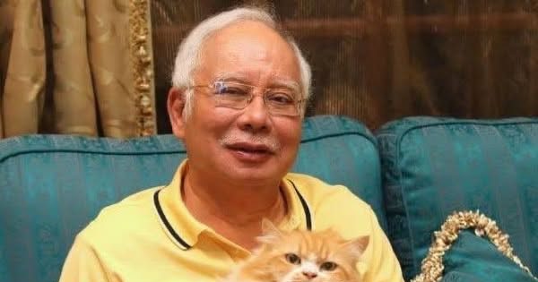 纳吉爱猫Kiky离世