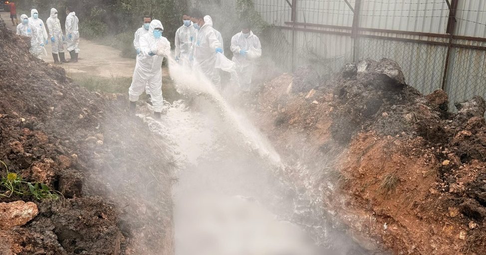 王富生:虽爆发猪瘟 生猪供应稳定没涨价