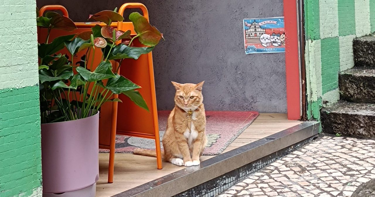 出行,也要趁早啊!/高玉梅