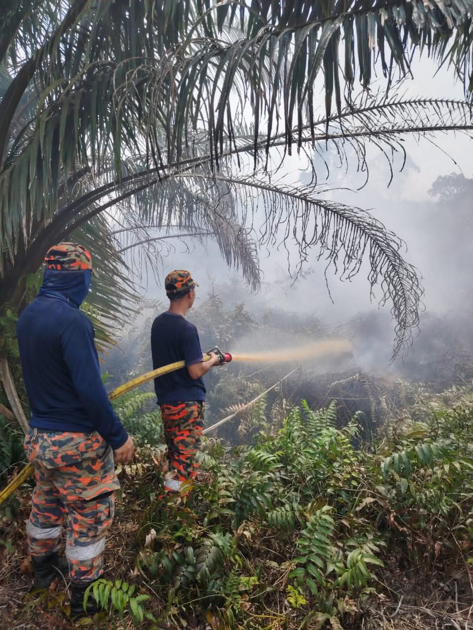 野火吞噬砂80顷黄梨园